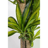 img-d4354460-97f0-4a5b-9d0f-a5a61123f7b1.png