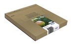 Epson-Apple-Multipack-4-colours-T129-EasyMail