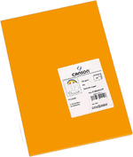 Tanson-Guarro-Pack-di-50-carte-Iris-A4-185G---21x297-cm---Colore-mandarino