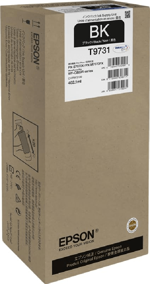 Epson C13T97310N cartuccia d'inchiostro 1 pz Originale Nero
