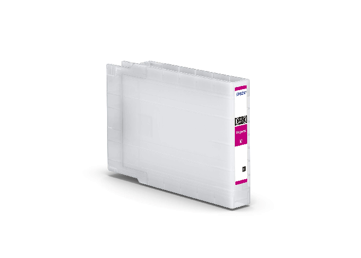 Epson Kit di Manutenzione Epson C13S210048 per WFC8190