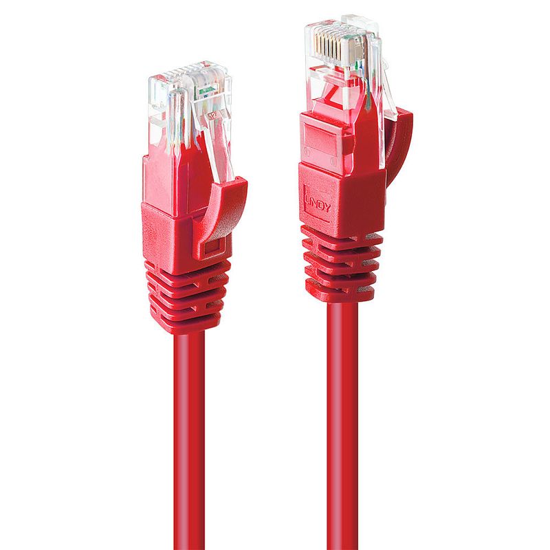 Lindy-48031-cavo-di-rete-Rosso-05-m-Cat6-U-UTP--UTP-