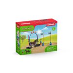 schleich-Farm-World-42482-set-da-gioco