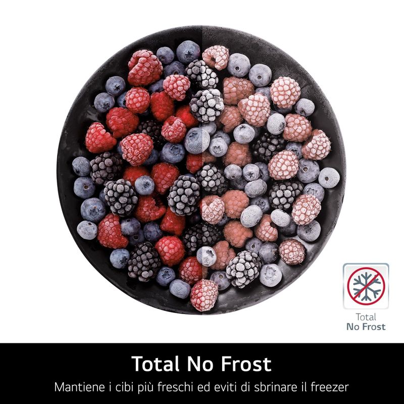 Frigorifero-Americano-LG-GSBV70PZTE---655L-No-Frost-Inox