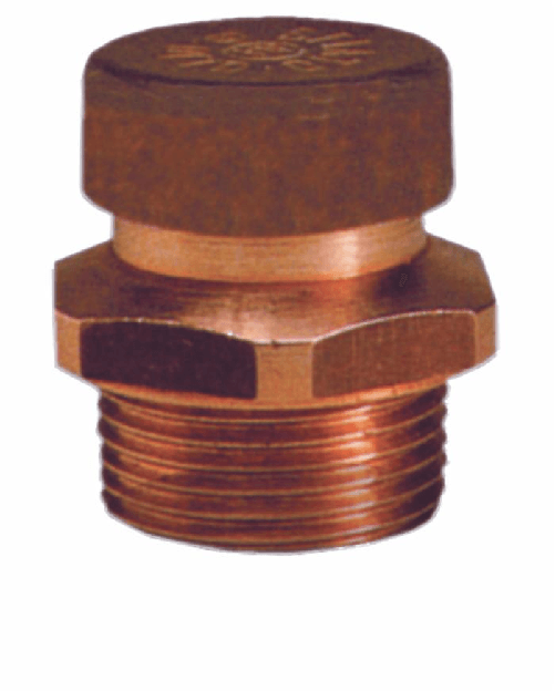 img-515f56e2-86ff-4433-8841-56b679ebc0bb.png