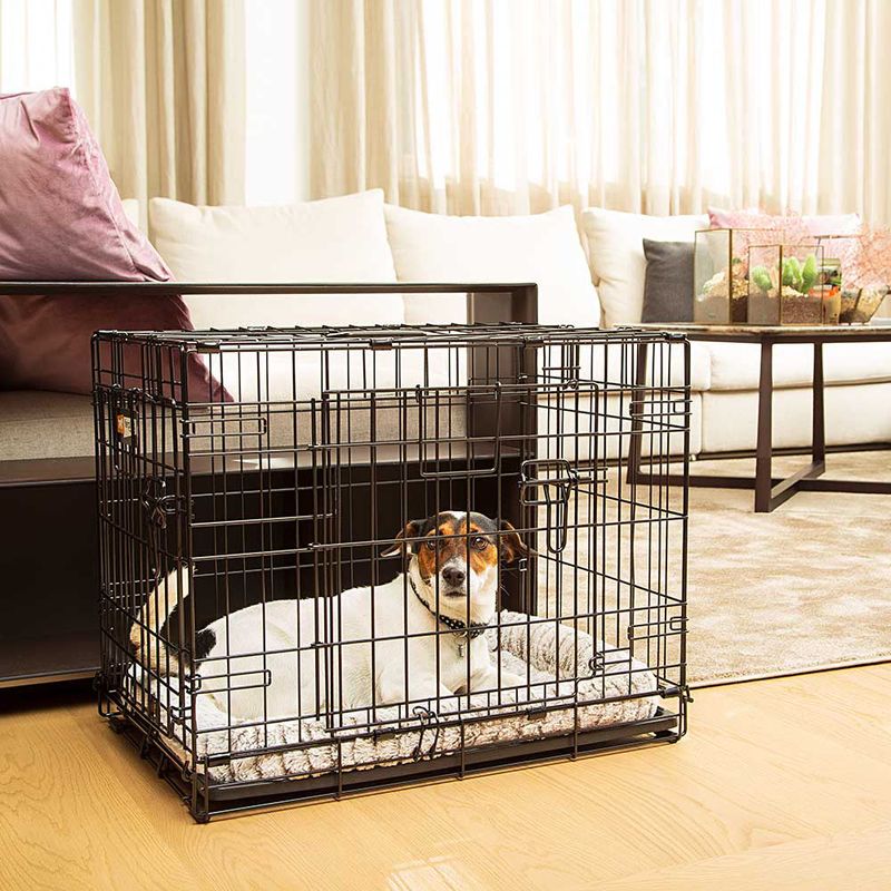Ferplast-Gabbia-per-cani-pieghevole-DOG-INN-60-Recinto-per-cuccioli-Trasportino-in-metallo-Separatore-incluso-Porta-doppia-con-chiusura-di-sicurezza-641-x-447-x-h-492-cm-Nero