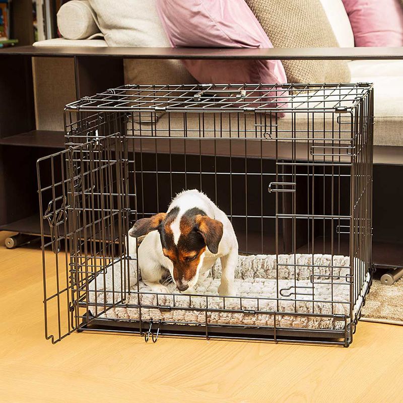 Ferplast-Gabbia-per-cani-pieghevole-DOG-INN-60-Recinto-per-cuccioli-Trasportino-in-metallo-Separatore-incluso-Porta-doppia-con-chiusura-di-sicurezza-641-x-447-x-h-492-cm-Nero