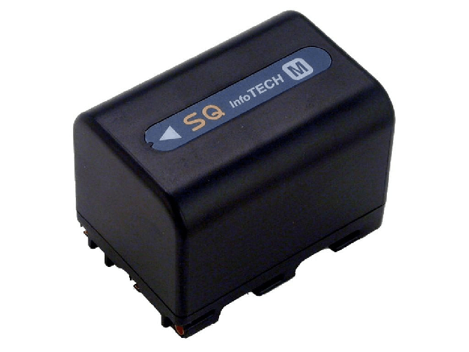 2Power 2-Power VBI9599A Batteria per fotocamera/videocamera Ioni di Litio 2800 mAh