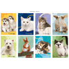 img-cd6421b6-6109-41d1-9229-407035ef7c68.png
