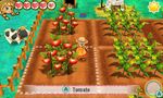 Story-Of-Seasons-Trio-Of-Towns-Nintendo-3DS-e-2DS