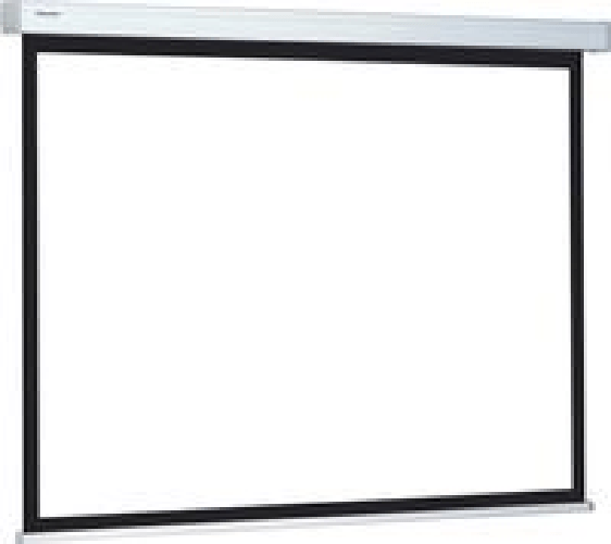 Projecta Compact Electrol 160x160 Mattwei 1:1 (10100070)