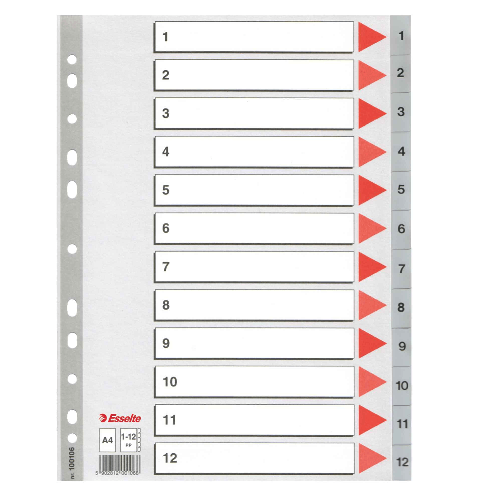 ESSELTE Separatore in PPL grigio numerico 1-12 A4 22,5x29,7cm ESSELTE