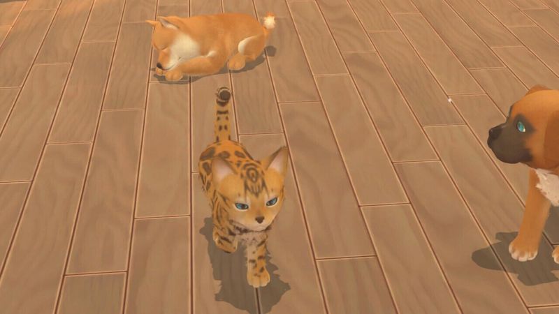 Microids-My-Universe--My-Baby---Chiens-and-Chats-Standard