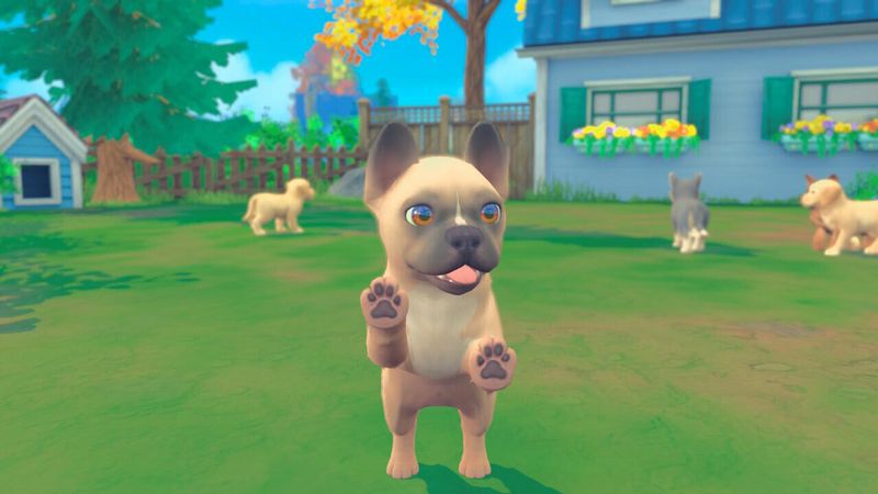 Microids-My-Universe--My-Baby---Chiens-and-Chats-Standard