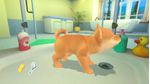 Microids-My-Universe--My-Baby---Chiens-and-Chats-Standard