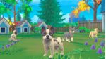 Microids-My-Universe--My-Baby---Chiens-and-Chats-Standard