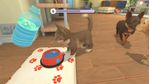 Microids-My-Universe--My-Baby---Chiens-and-Chats-Standard