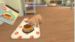 Microids-My-Universe--My-Baby---Chiens-and-Chats-Standard