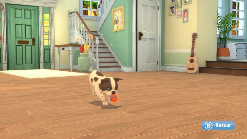 Microids-My-Universe--My-Baby---Chiens-and-Chats-Standard