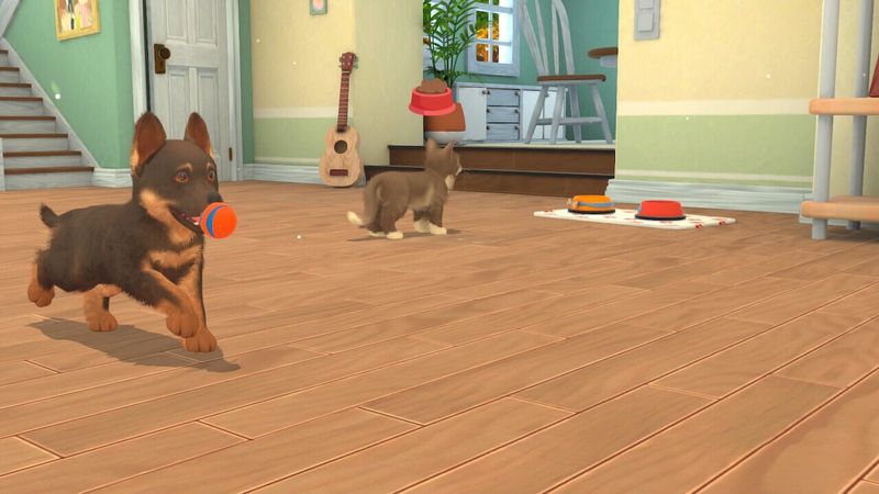 Microids-My-Universe--My-Baby---Chiens-and-Chats-Standard