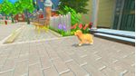 Microids-My-Universe--My-Baby---Chiens-and-Chats-Standard