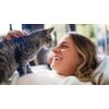 Distribuzione-Food-Secco-Con-Webcam-Philips-Paw5320-02-4.5-Cane-Gatto