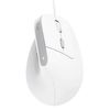 TRUST-Mouse-ergonomico-Bayo-II---con-filo---bianco---Trust