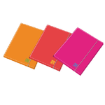 BLASETTI Cartella 3 lembi c/elast. dorso 1cm colori assortiti Fluo One Color Blasetti