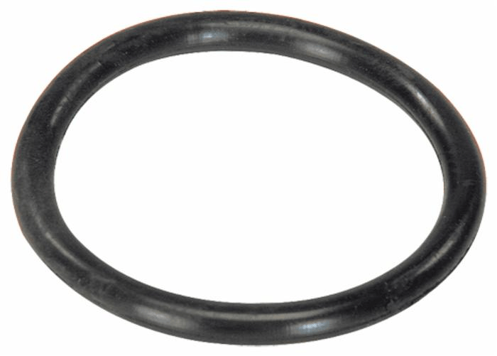 img-81e92d74-ab6a-4169-9a2f-99ee3e2af7de.png