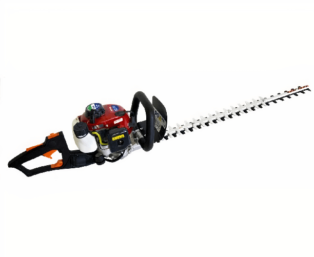 img-24e29e41-ca3d-42a0-8c0d-7ccd263f4cae.png