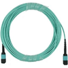 img-28fdd4d4-b61f-4692-ad5d-4a74bd3a78df.png