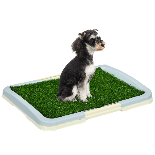 img-8d0f0472-fa77-4072-baca-24beb08700dd.png