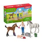 schleich-Farm-World-Vet-visiting-mare-and-foal