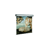 Sopar-Electric-professional-schermo-per-proiettore-305-m--120---4-3