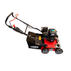 img-674ff9ee-e380-4d84-b4e5-b8fb251a57ec.png