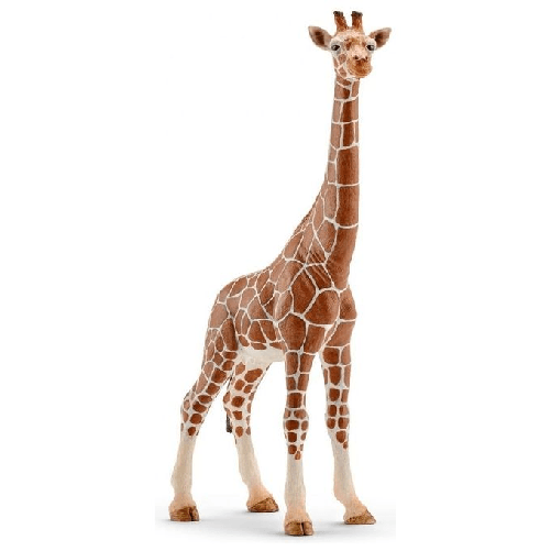 schleich-WILD-LIFE-14750-action-figure-giocattolo