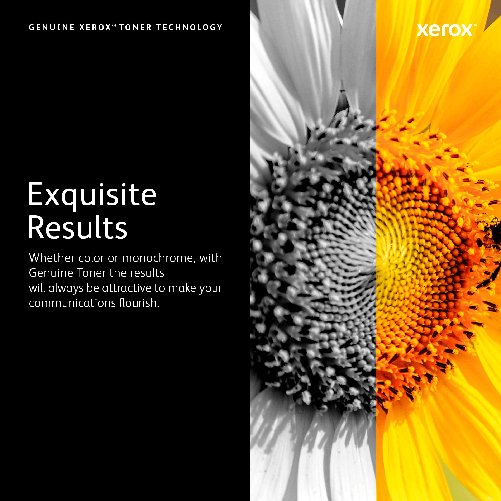 Toner-Ciano-Originale-Xerox-006R01825-per-VersaLink