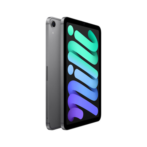 Apple-iPad-Mini-83--256GB-Grigio-Siderale-5G---7ª-Generazione-2024