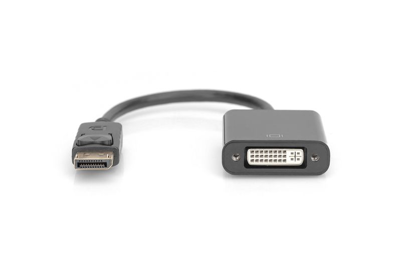 Digitus-Cavo-Adattatore-Displayport-Connettori-Dp-Maschio---Dvi-i-24-5--Femmina-Cm.-15