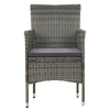 vidaXL-Sedie-da-Pranzo-per-Giardino-2-pz-in-Polyrattan-Grigio