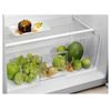 Electrolux-EFB3AF10S1-monoporta-Libera-installazione-164-L-F-Bianco