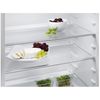 Electrolux-EFB3AF10S1-monoporta-Libera-installazione-164-L-F-Bianco