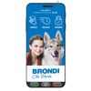 Brondi-Amico-Smartphone-S-B-2Gb-16Gb-5.7---Dual-Sim-Tasto-SOS-e-controllo-remoto-Nero