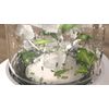 Philips-5000-series-Eco-Conscious-Edition-HR2500-00-Frullatore-serie-5000