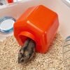 Ferplast-Gabbia-per-criceti-COMBI-1-Casetta-per-piccoli-roditori-Robusta-plastica-Tetto-con-griglia-apribile-Tubi-e-accessori-inclusi-405-x-295-x-h-225-cm-Bianco