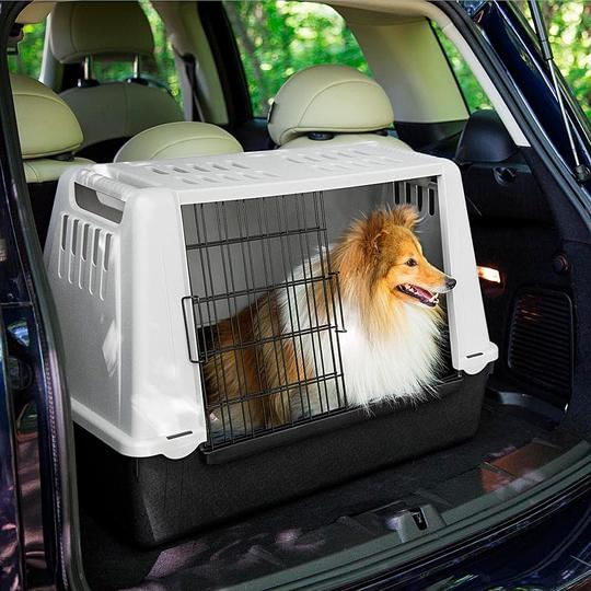 Ferplast-Trasportino-per-Cani-da-Auto-ATLAS-CAR-MINI-con-Fessure-per-l-aerazione-Tappeto-Drenante-incluso