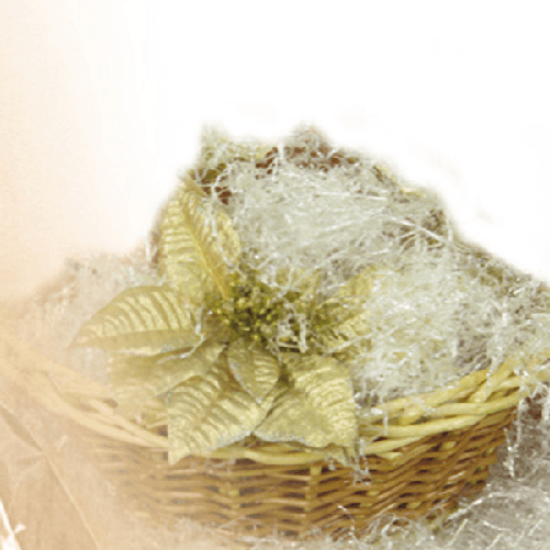 img-6388b54e-9b75-4db6-97ef-dc38ab8cfc33.png