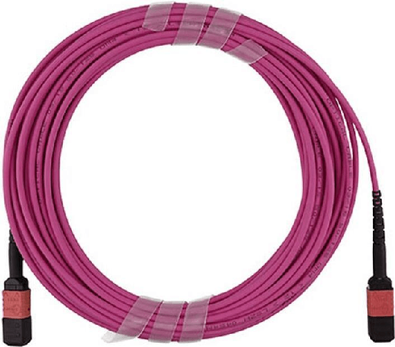 BlueOptics Cavo trunk FO MPO OM4 12 nuclei 50 metri tipo B