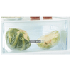 Whirlpool-Frigorifero-combinato-da-incasso---ART-66102