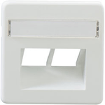 Rutenbeck ZSt UAE-Cat. 8/8 rw - Zentralplatte - mit Beschriftungsfenster - abgewinkelt - 2 - Pure White